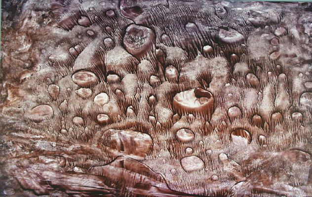 Sporogony -- 20 x 26