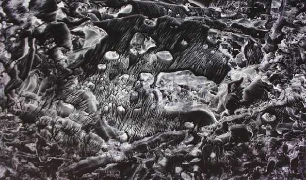 Oil Garden -- 23 x 35