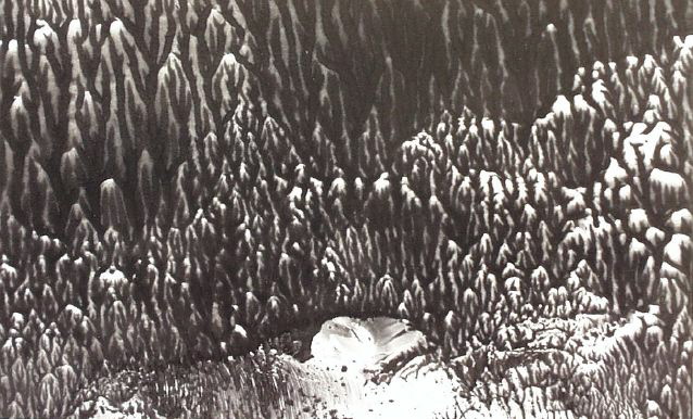 Reticula -- 12 x 14