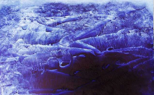 Sea Shelves -- 23 x 35