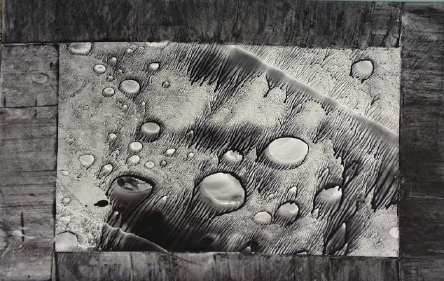 Sporangium&nbsp;-- 20 x 26