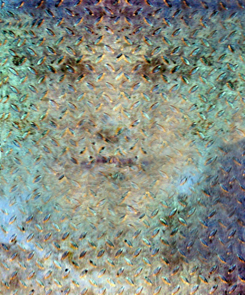 Plate Portrait