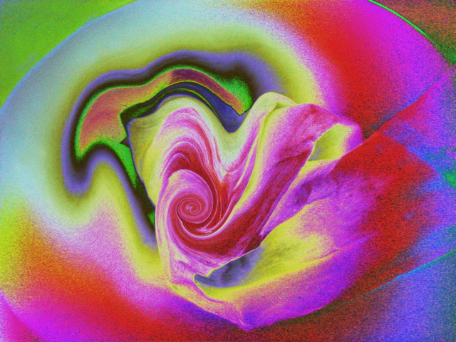 Unfolding Earth