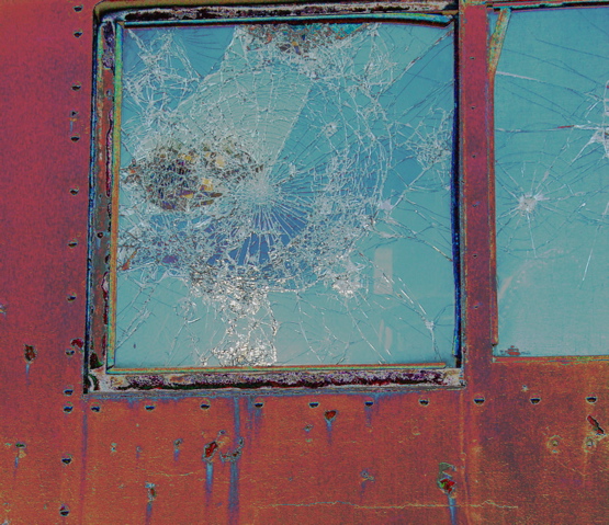 Tree Bark Window