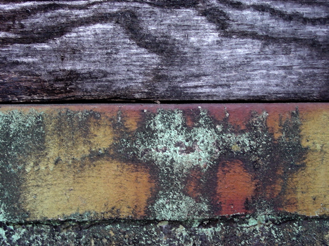 Wood and Mortar